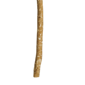 Miswak